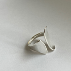 center plate Leading role ring