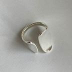 center plate Leading role ring